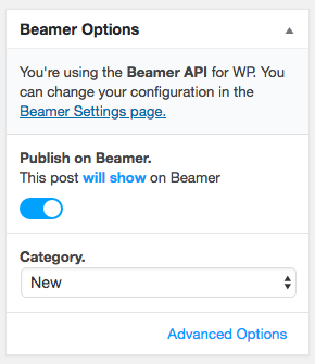 Beamer WP plugin post options