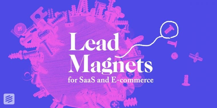 image for article "Lead magnets for SaaS and E-commerce"