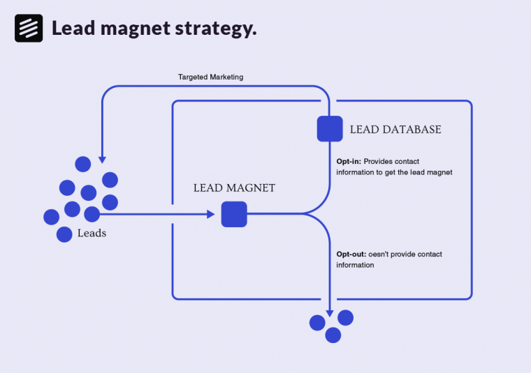 Lead magnet strategy infographic